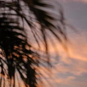 中国一老太婆偷伦
